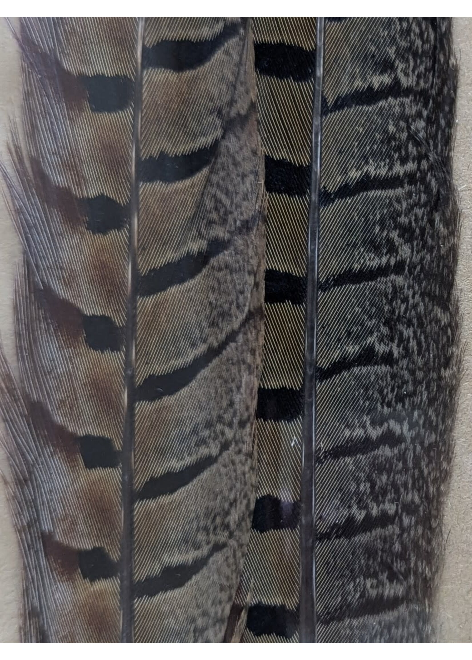 Hareline Hareline Pheasant Tail Feathers