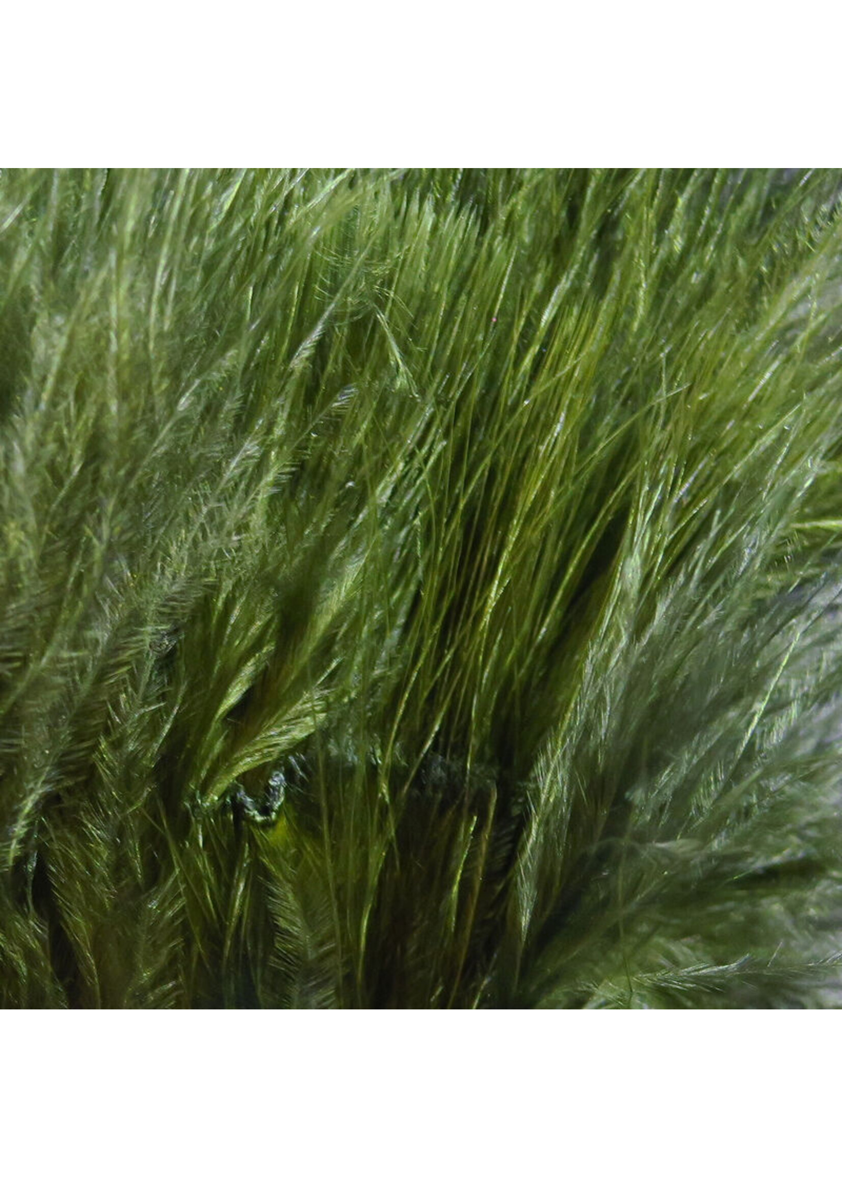 Hareline Hareline Marabou Blood Quills