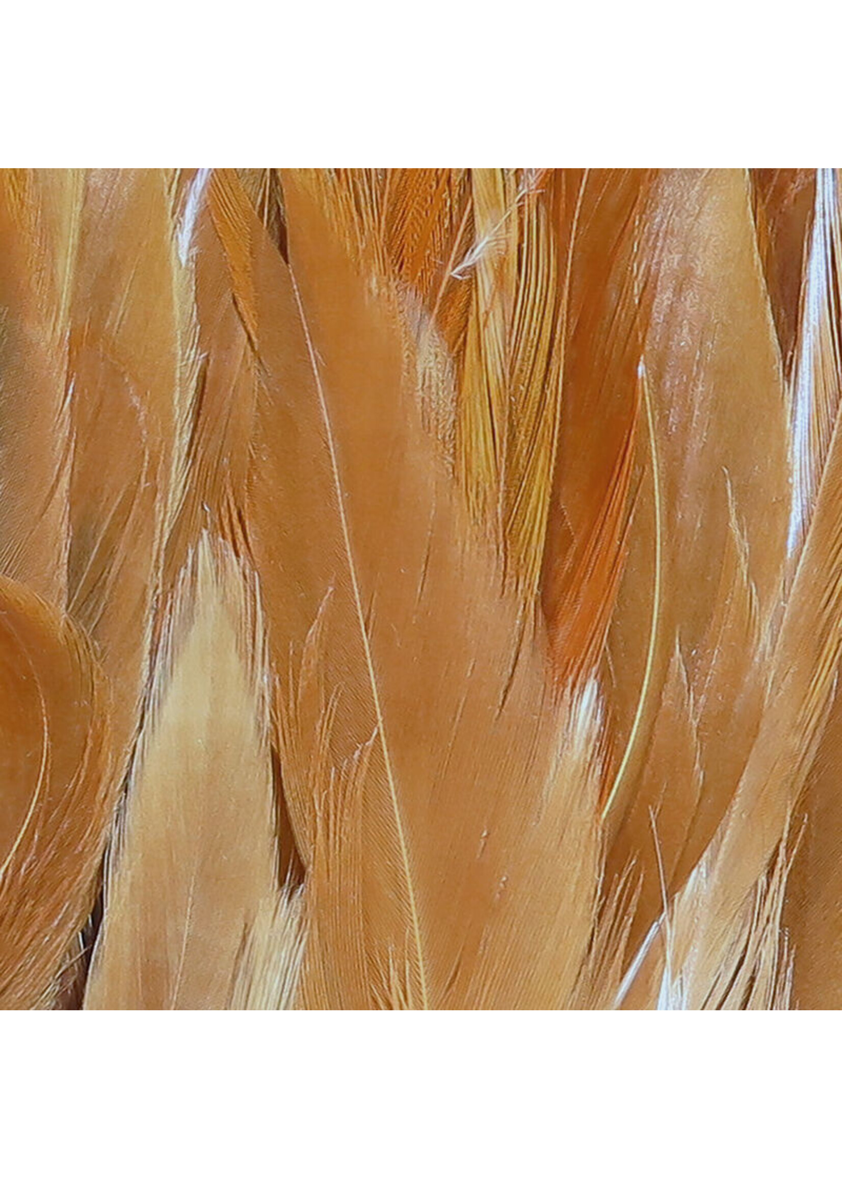 Hareline Hareline Wooly Bugger Saddle Hackle