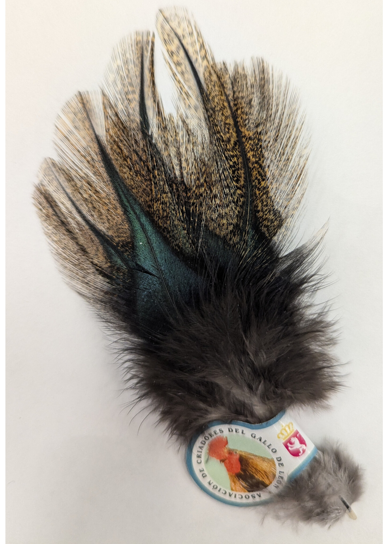 Hareline Hareline Coq De Leon