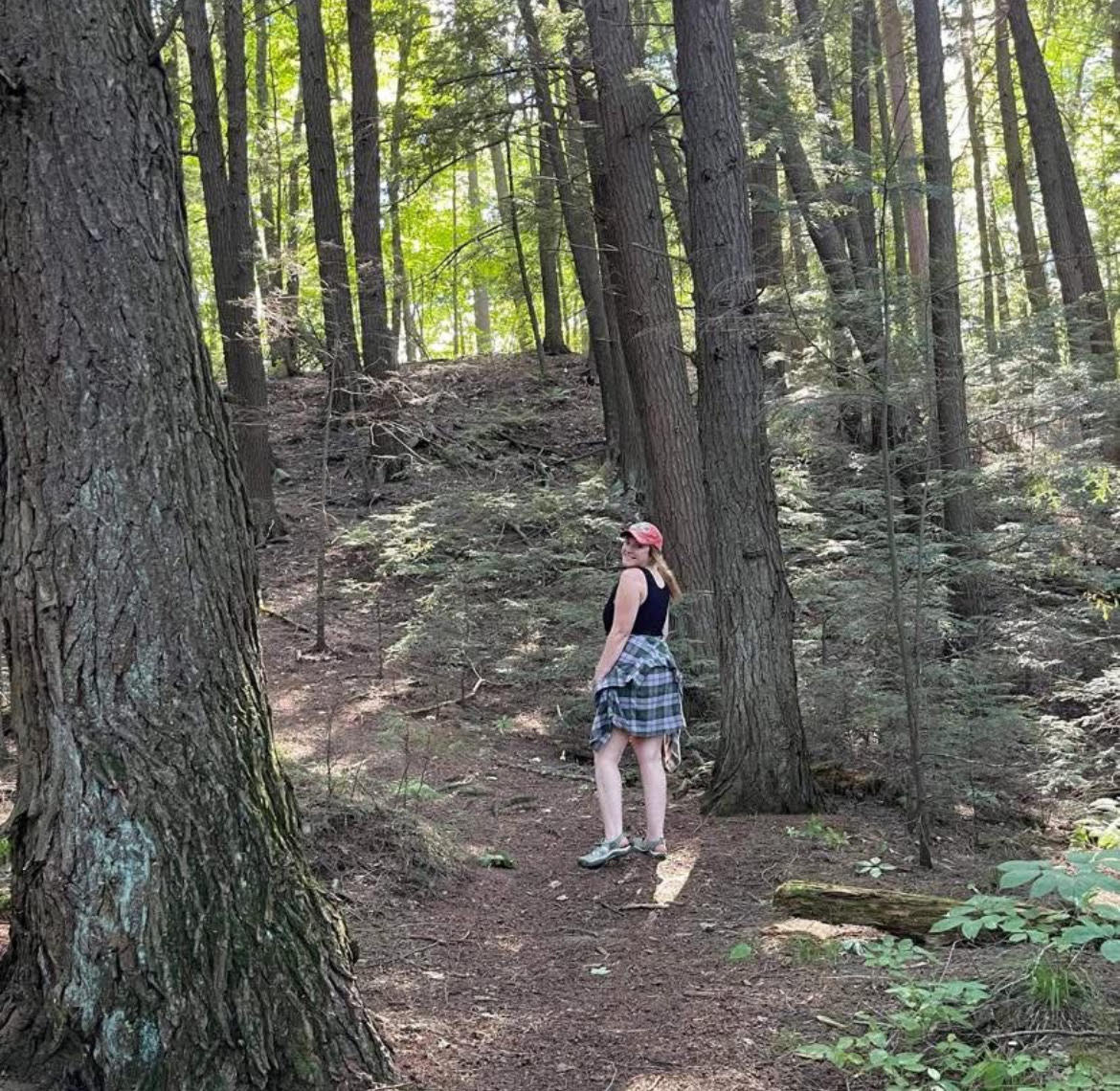 The Whispering Giants: Stories of Trees and Time