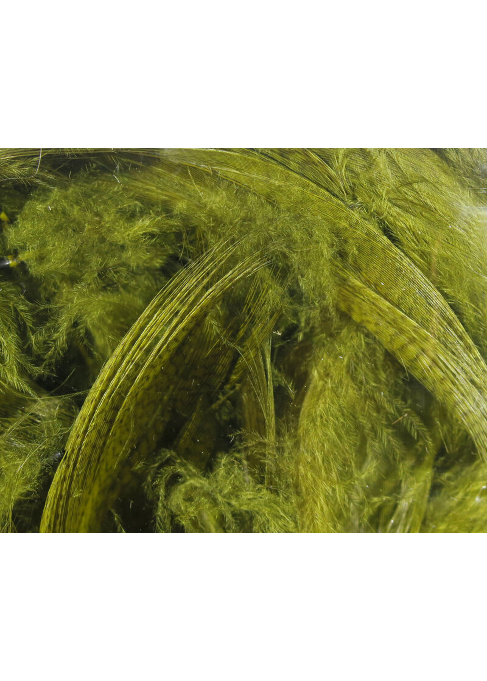 Hareline Hareline Mallard Flank
