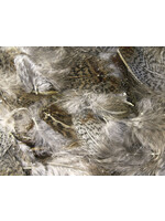 Hareline Hareline Premium Hungarian Partridge Feathers Natural