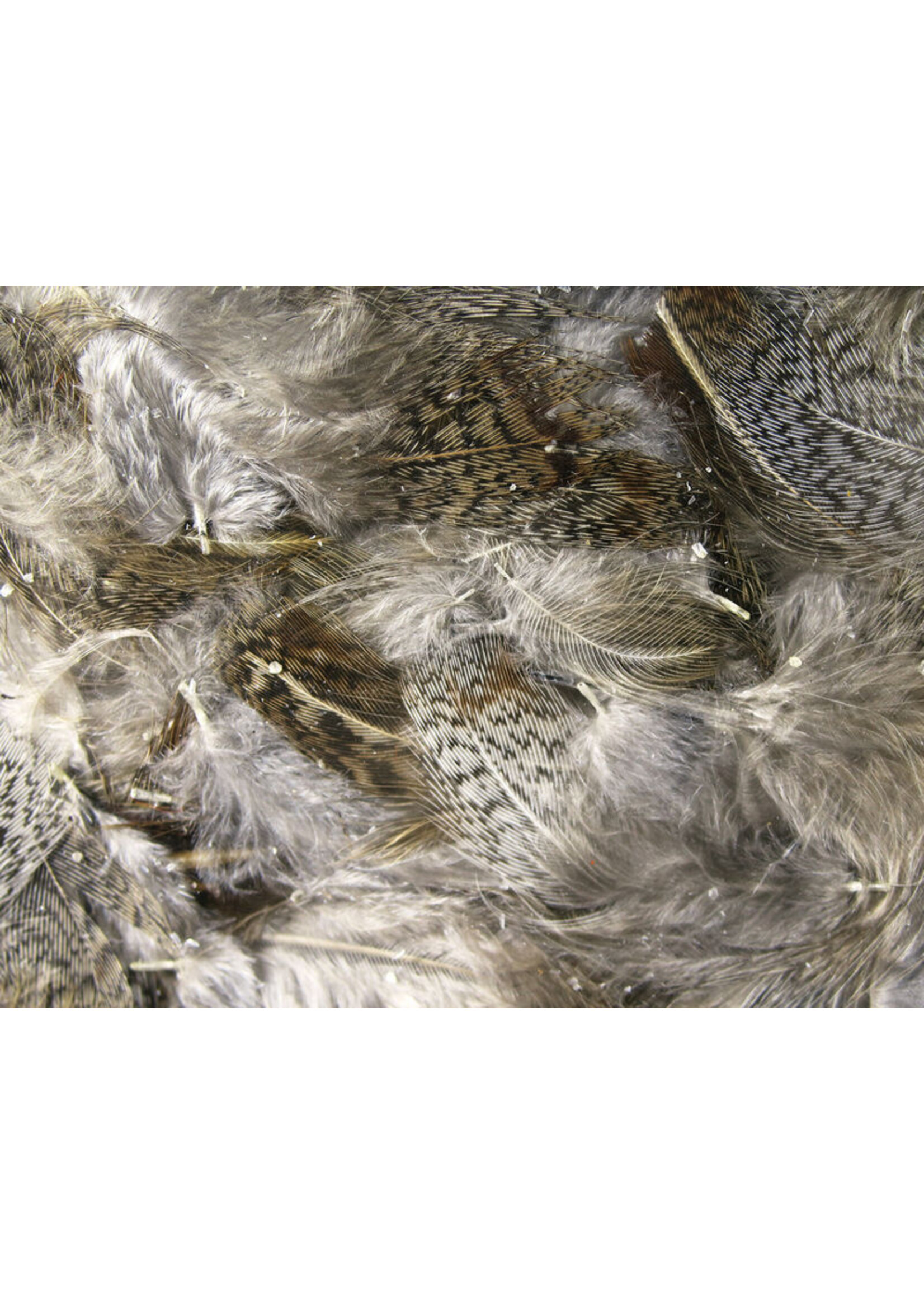 Hareline Hareline Premium Hungarian Partridge Feathers Natural