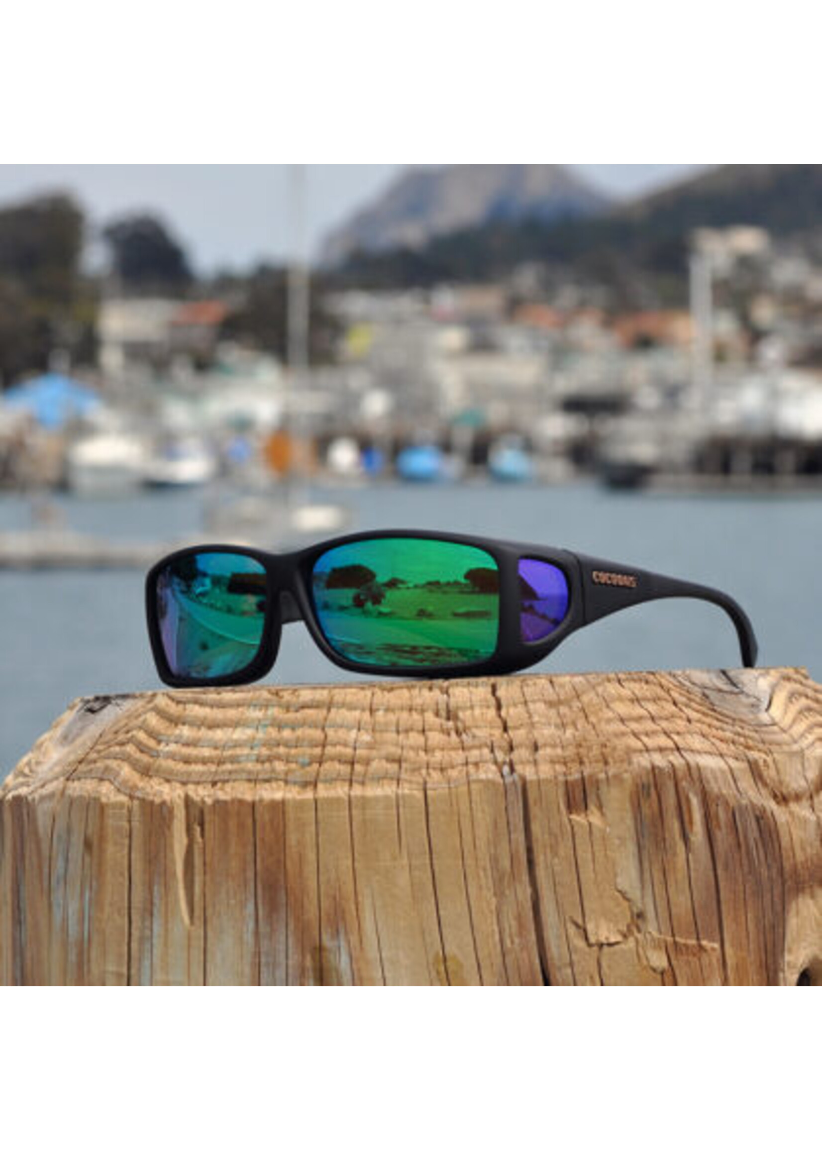 Cocoons Wide Line Black/Green ML