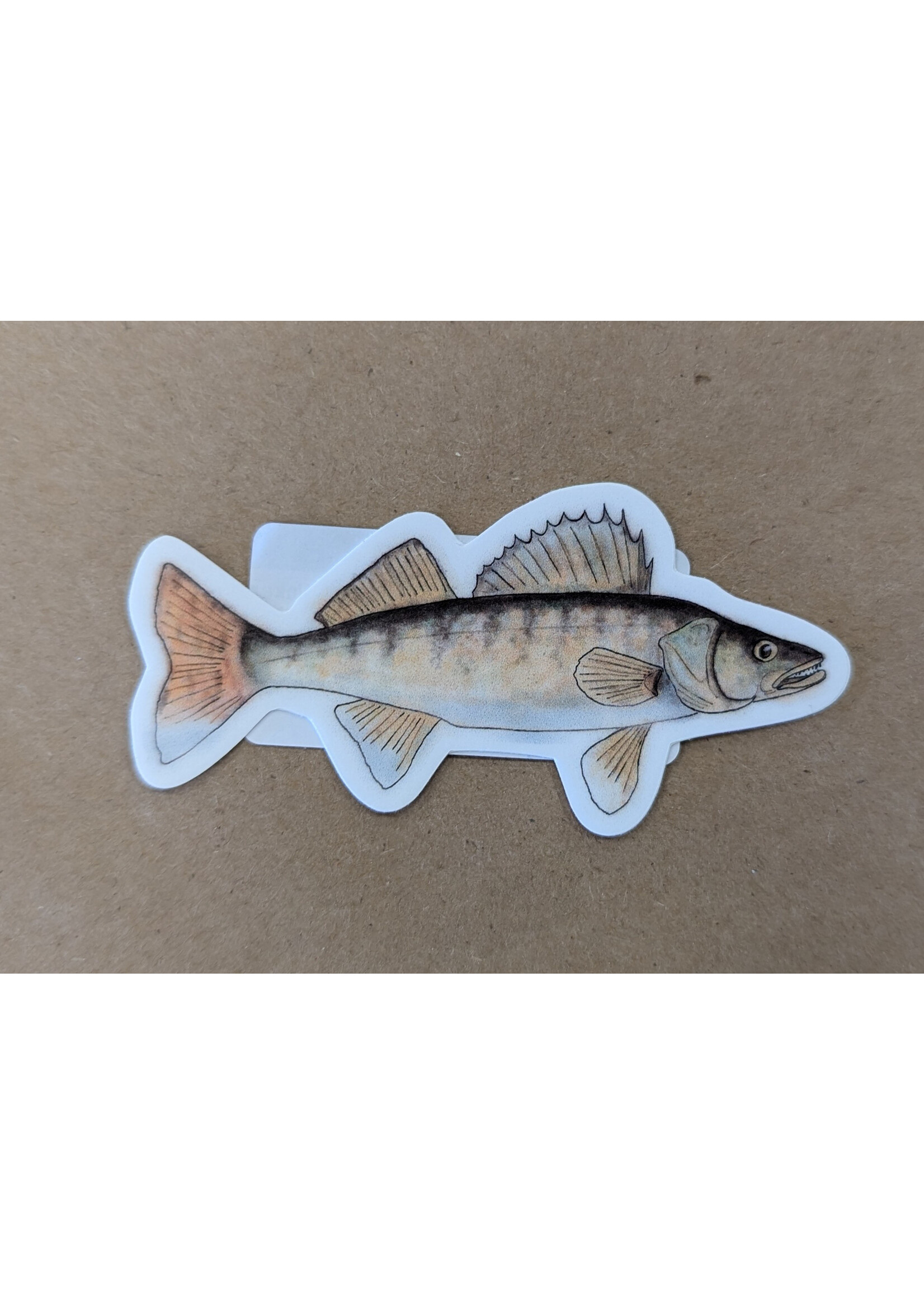 Nice Enough Walleye Sticker