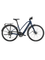 Trek Trek FX+ 2 Mid-Step LT