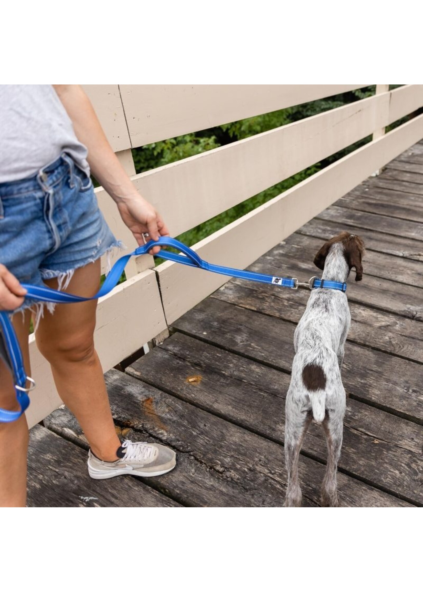 ROCT ROCT Padded Heel Handle Dog Leash