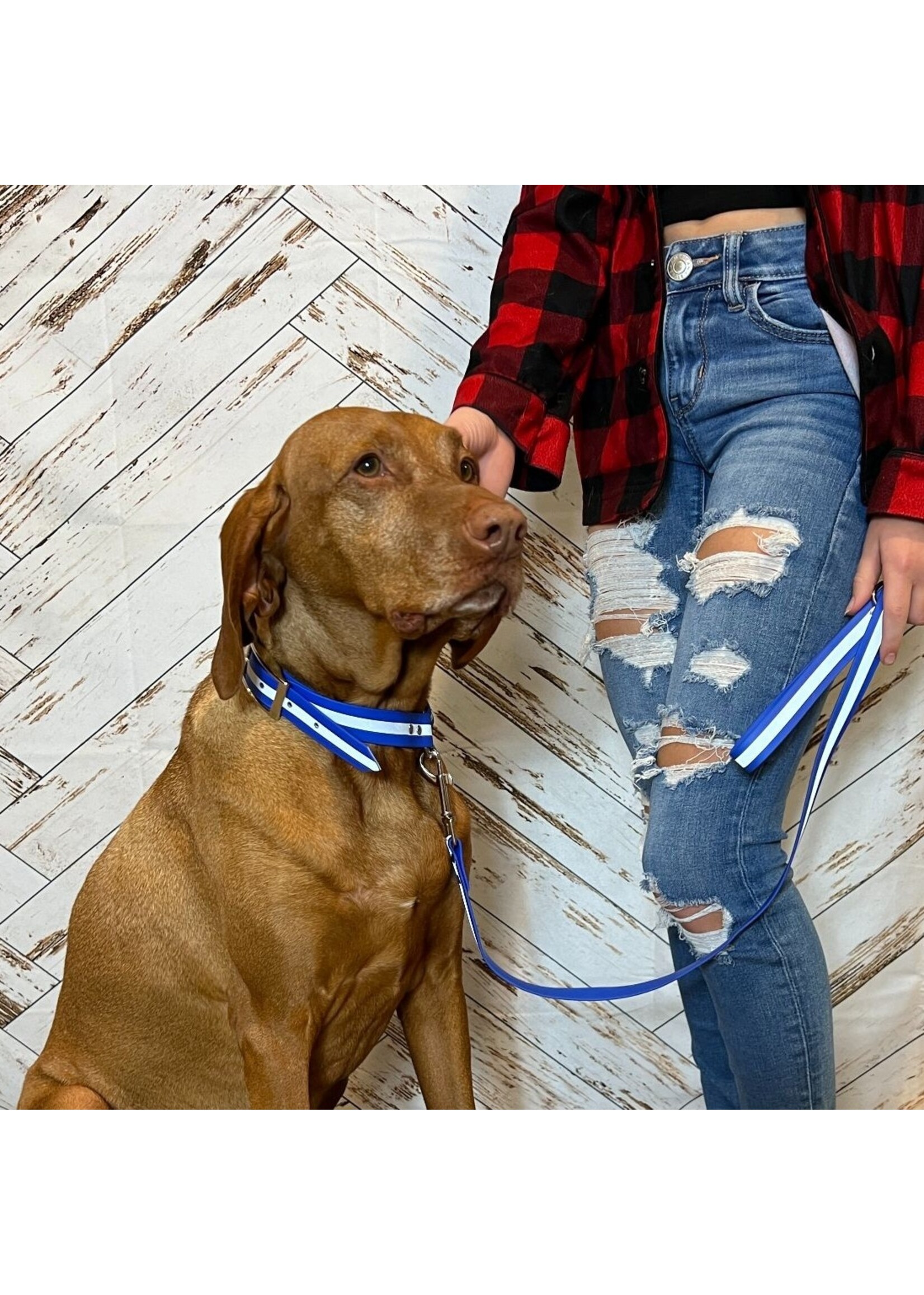 ROCT ROCT Upland Field Dog Leash