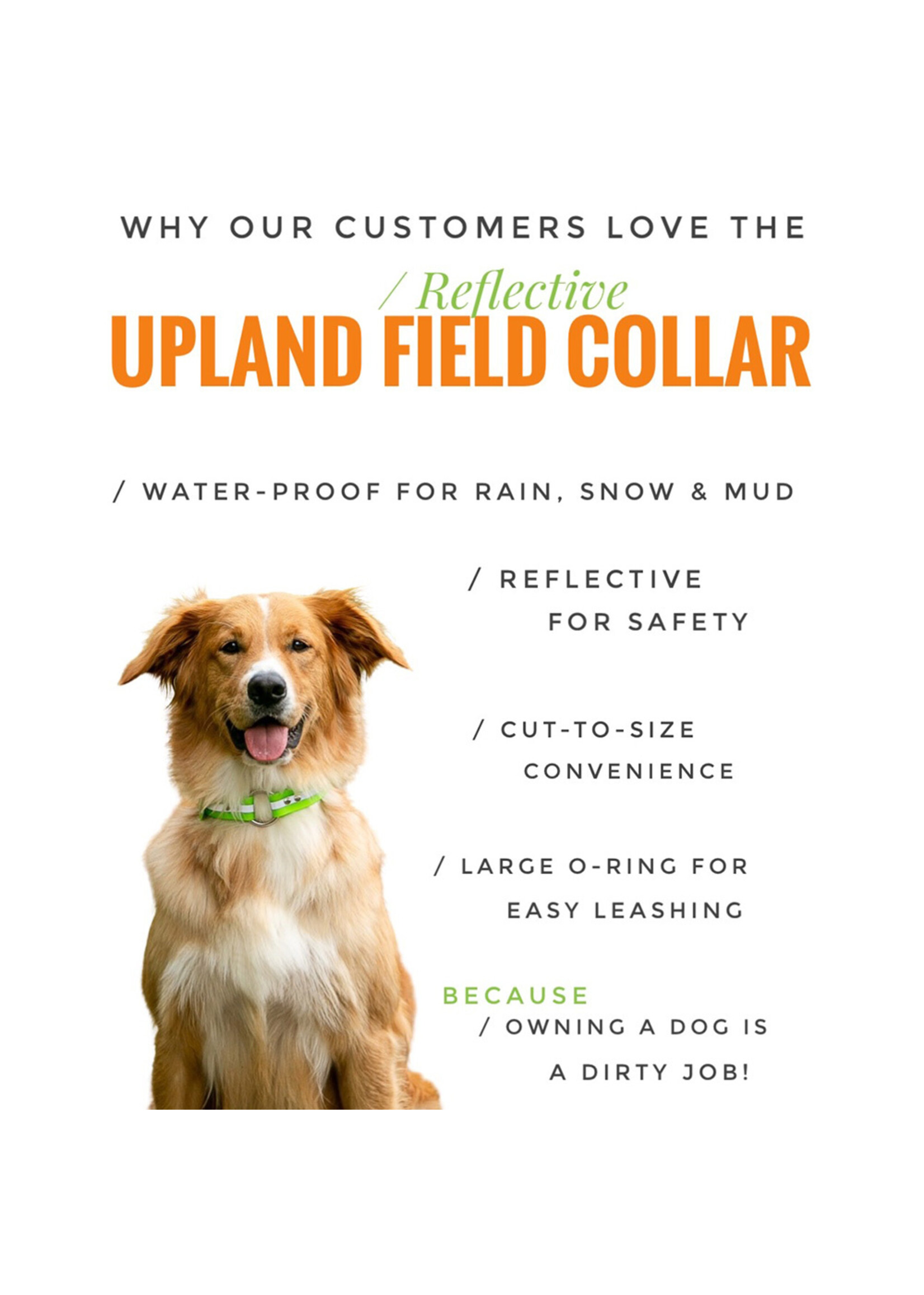 ROCT ROCT Upland Field Dog Collar