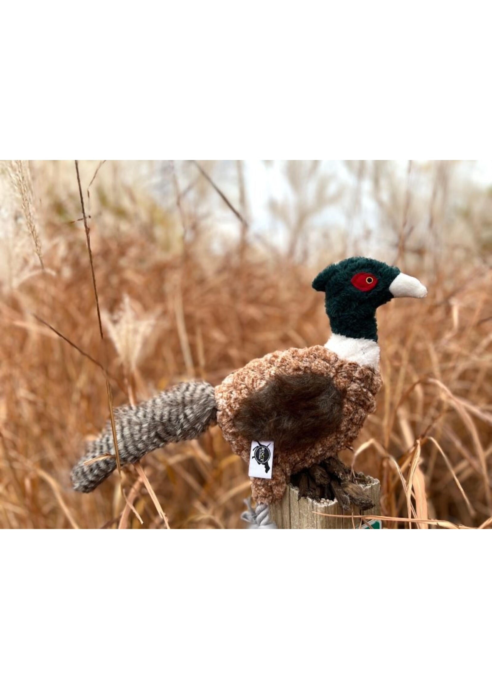 ROCT ROCT Pheasant Dog Toy