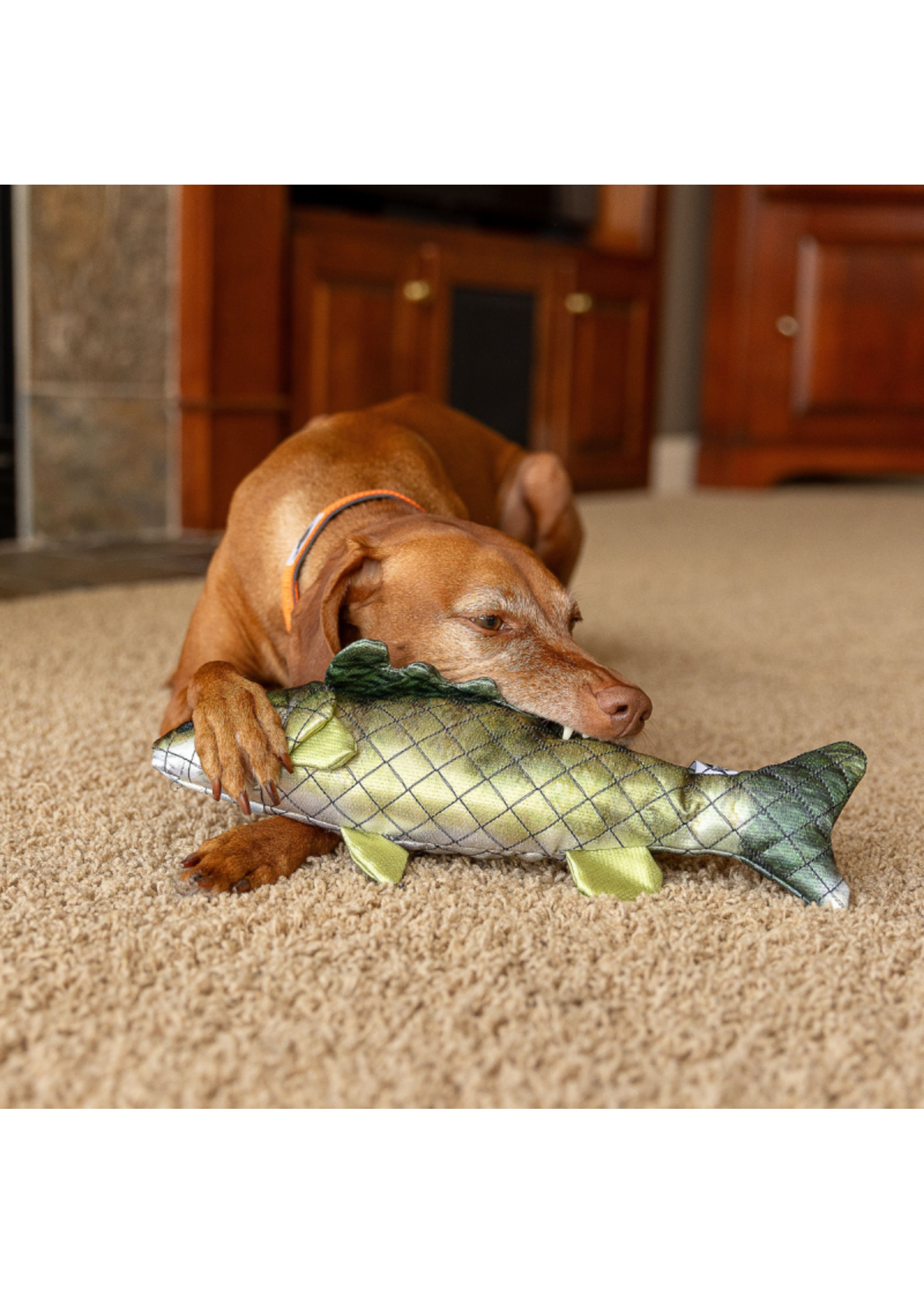 ROCT ROCT Walleye Dog Toy