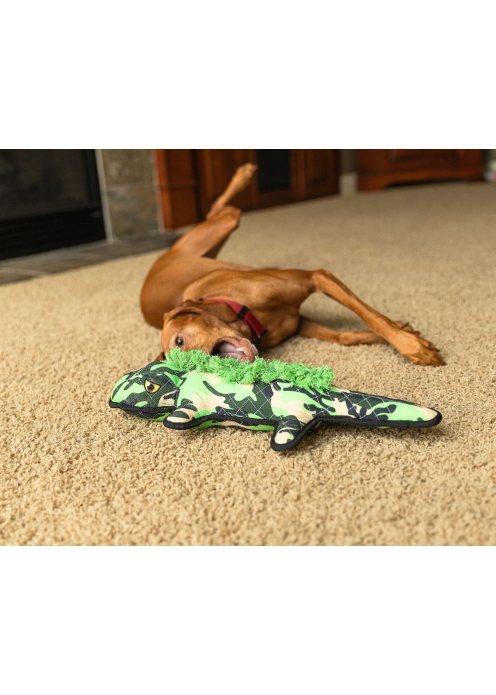 ROCT ROCT Angry Alligator Lined Dog Toy