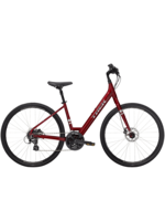 Trek Trek Verve 2 Disc Low Step