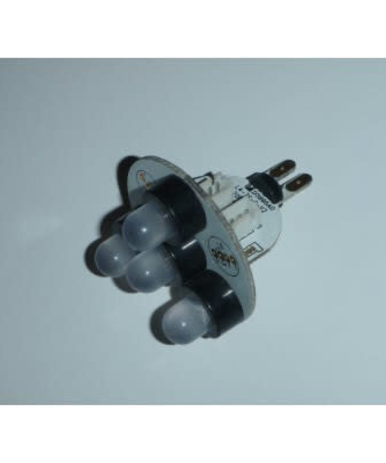 Northern Lights Slave LED L4