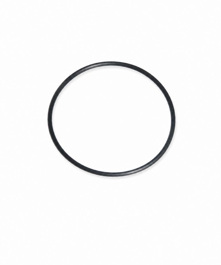 O-Ring 2" Diverter (pre-2010)