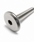 Door Screw for Cedar Cabinet