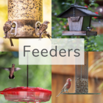 Bird Feeders