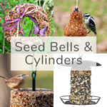 Seed Cylinders & Cakes