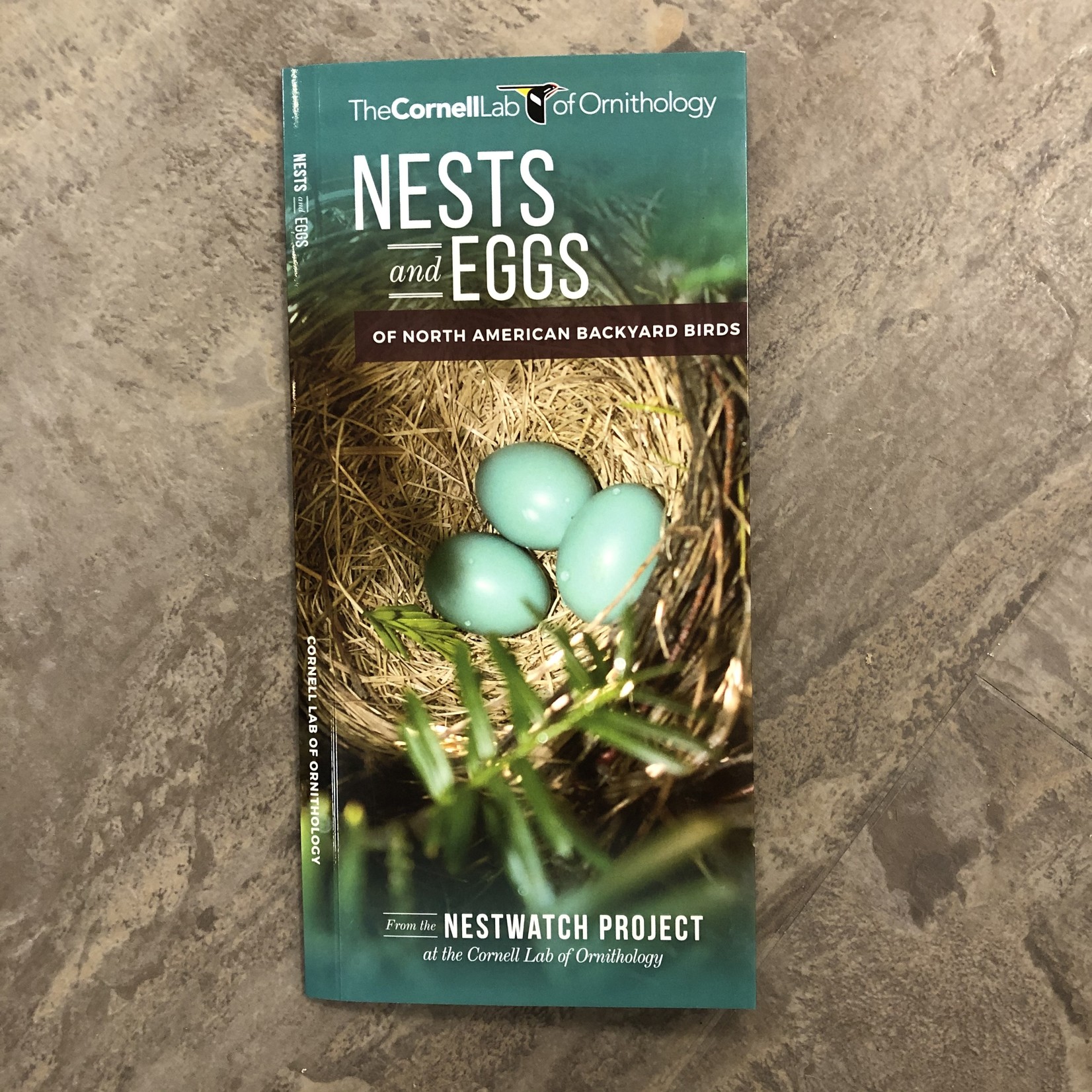 Folding Pocket Guide: Nests & Eggs