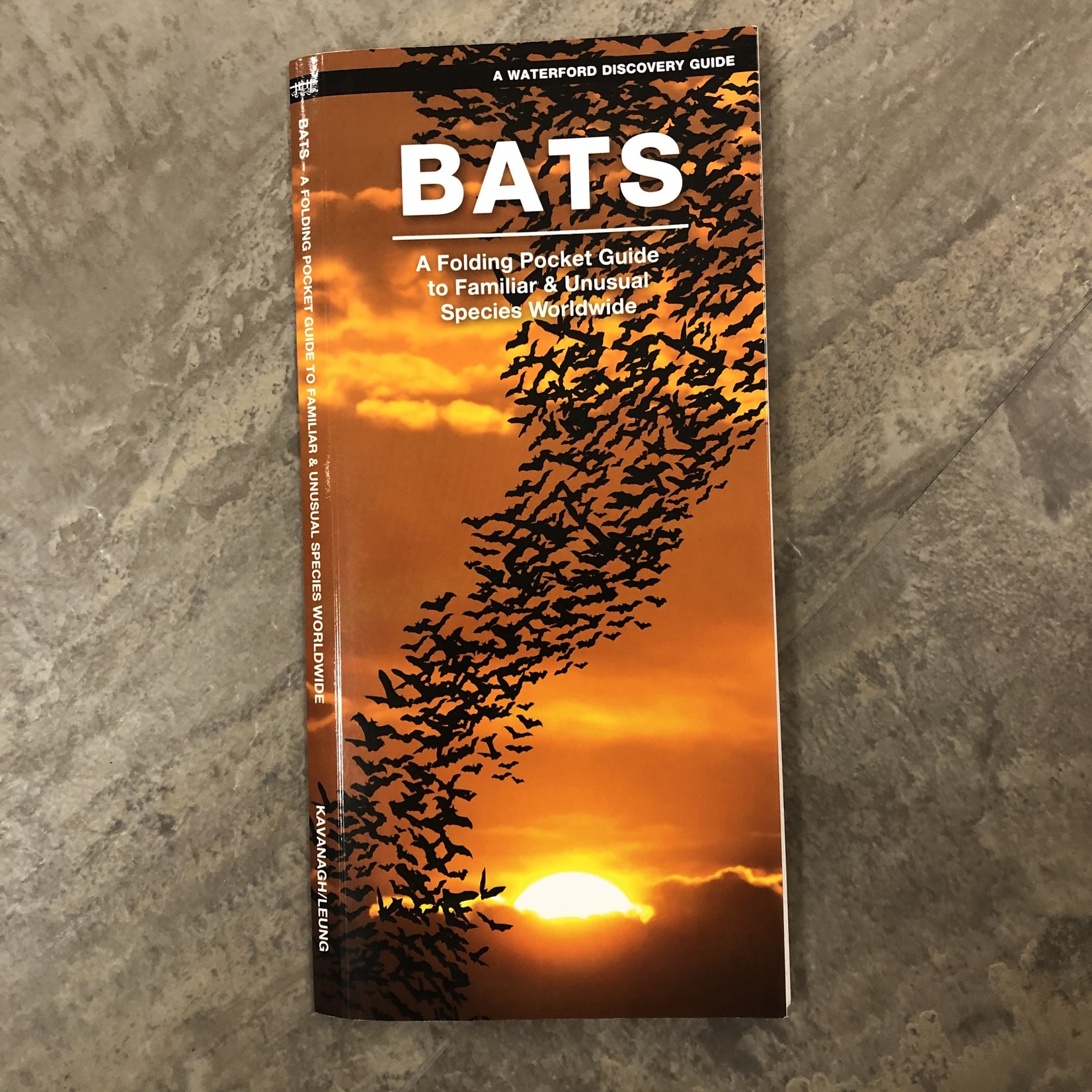 Folding Pocket Guide: Bats
