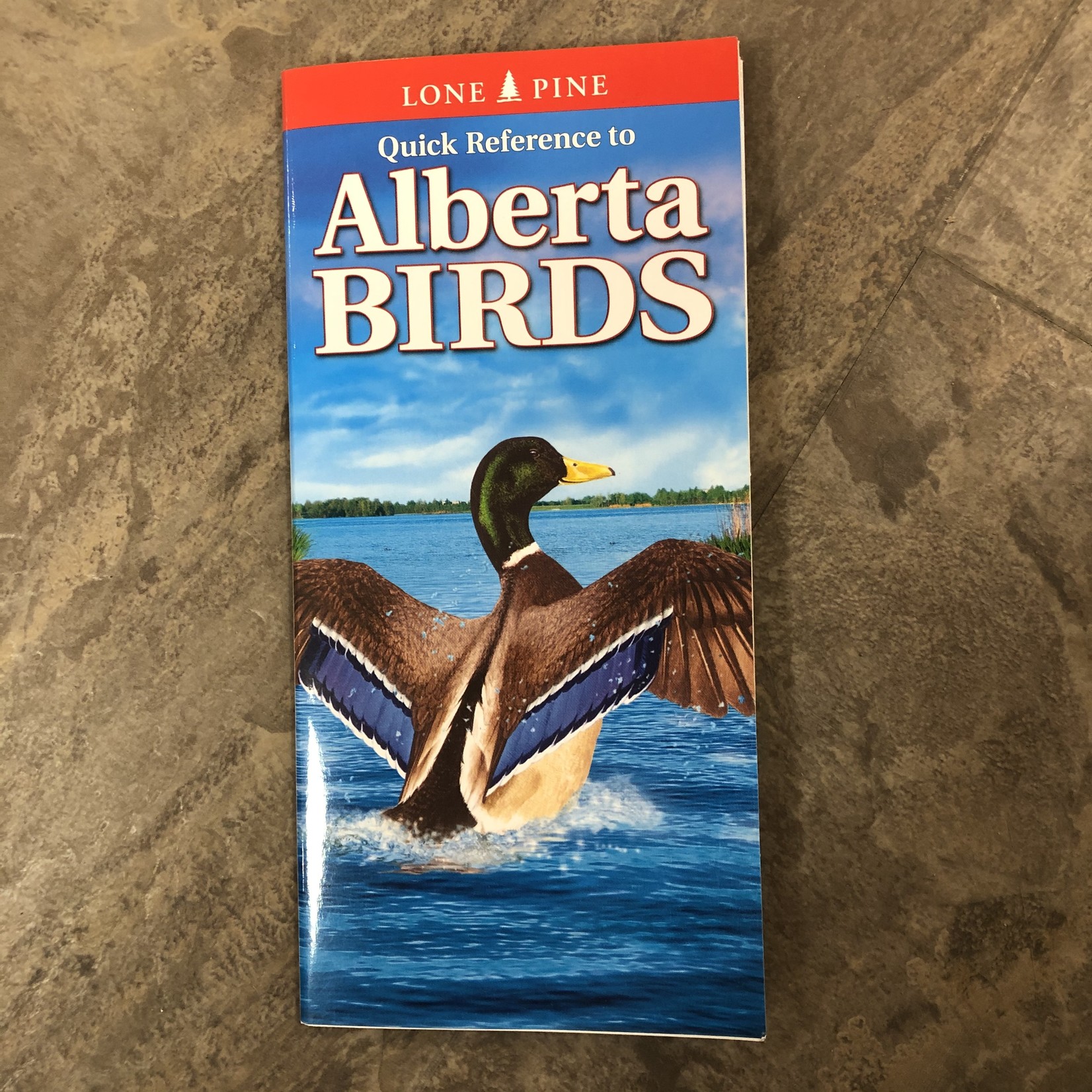 Folding Pocket Guide: Alberta Birds (Lone Pine)