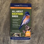 All About Backyard Birds Cornell Guide