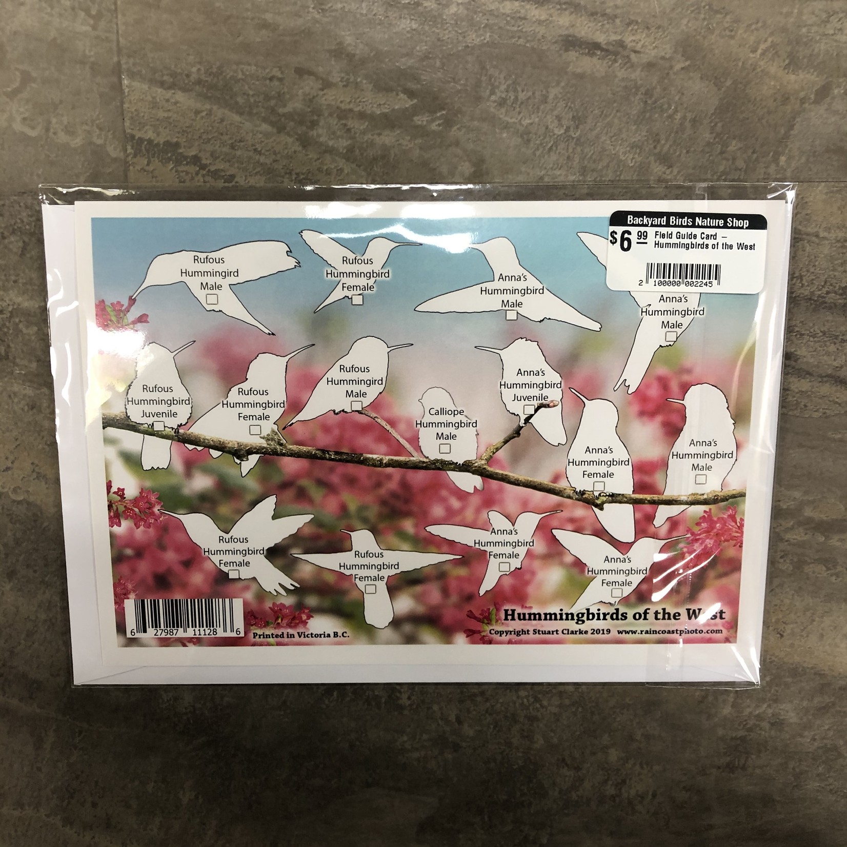 Field Guide Card - Hummingbirds of the West