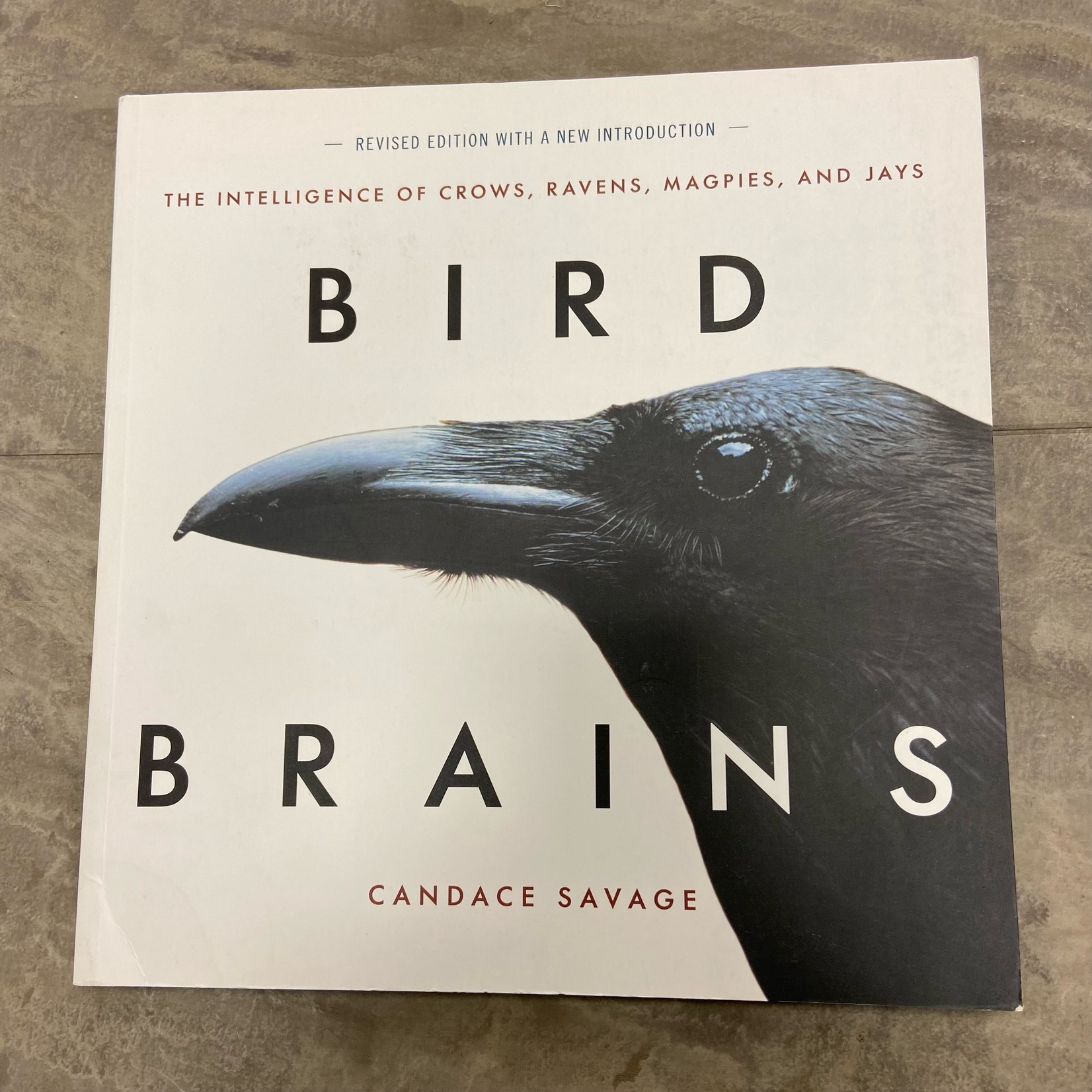 Bird Brains Book