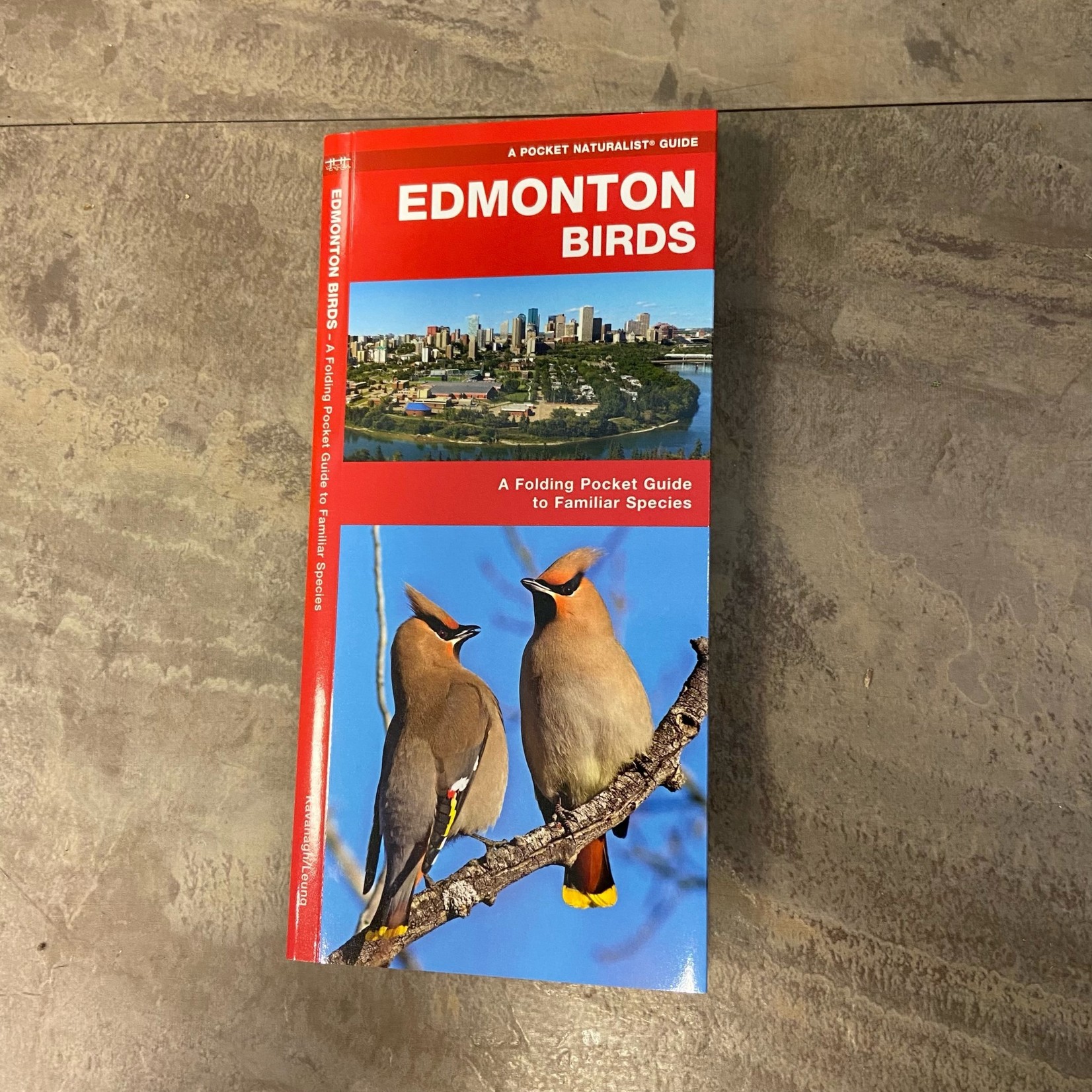 Folding Pocket Guide: Edmonton Birds