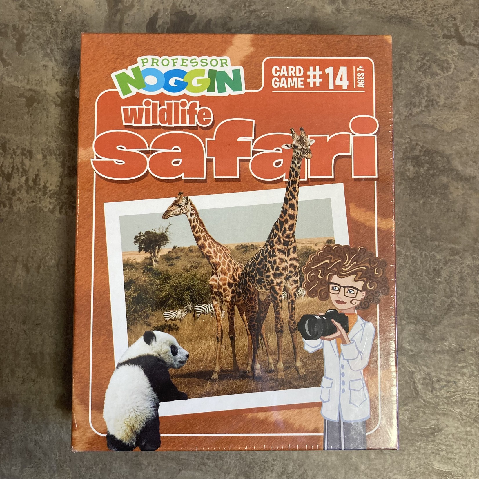 Professor Noggin Game - Wildlife Safari