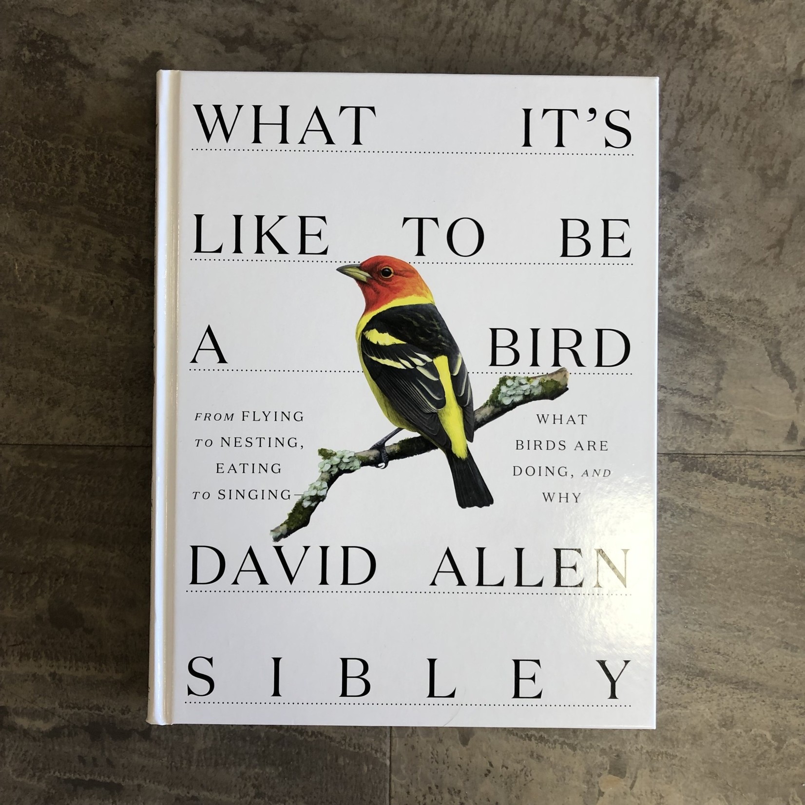 What It's Like to Be a Bird - Sibley Book