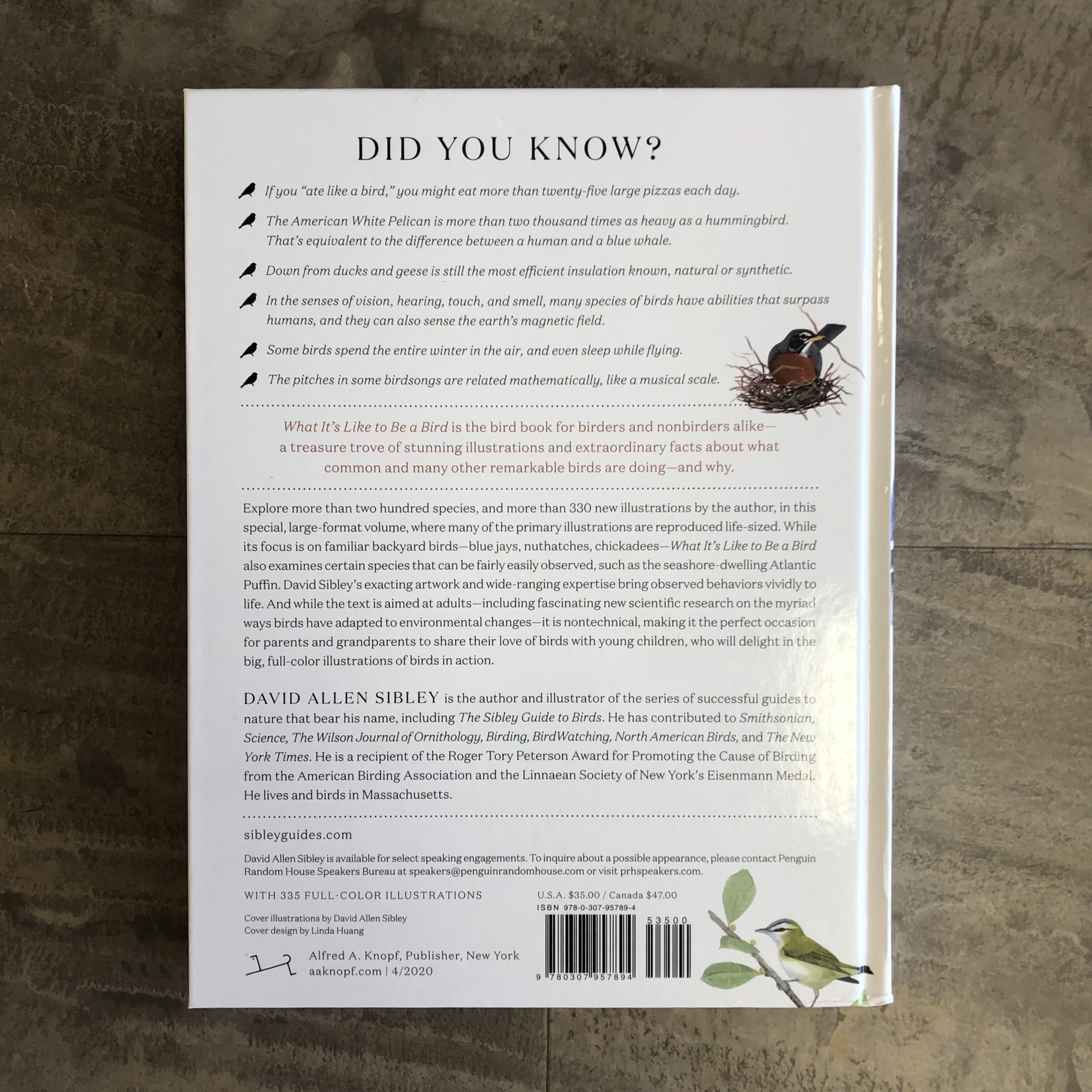 What It's Like to Be a Bird - Sibley Book