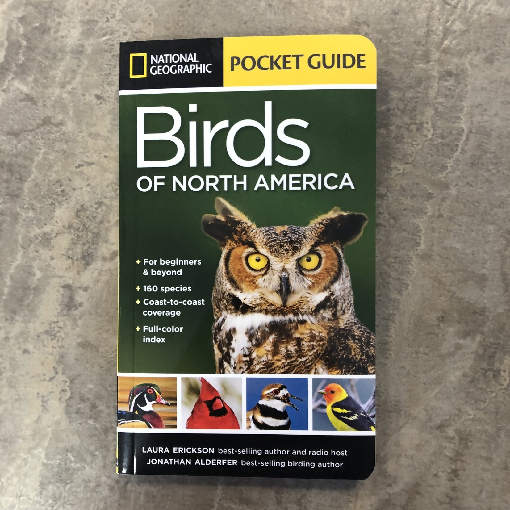 National Geographic: Pocket Guide to Birds of North America