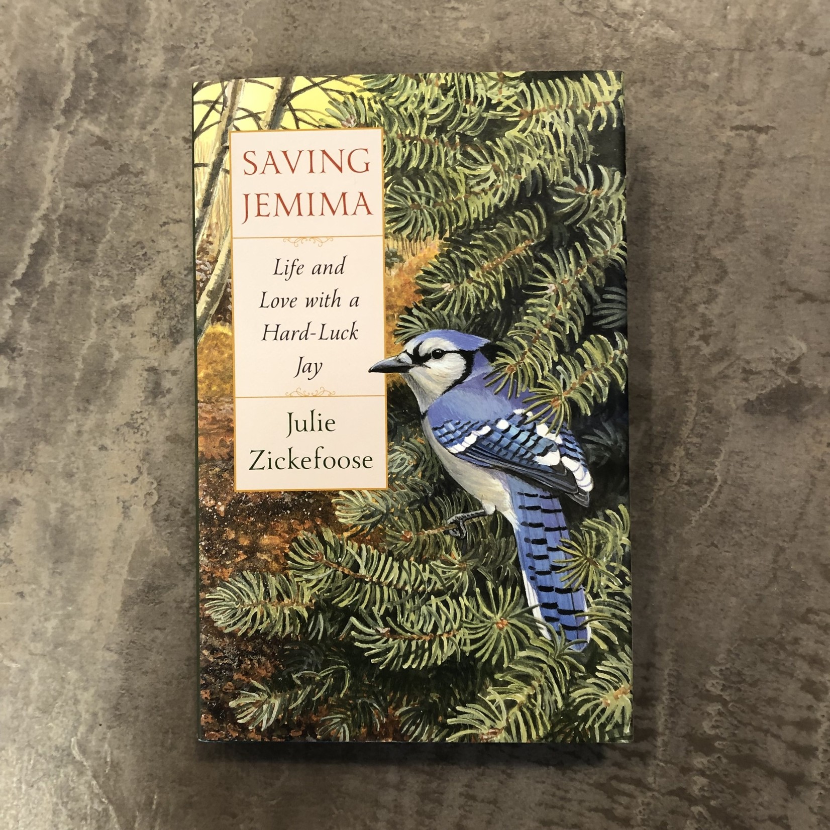 Saving Jemima: Life and Love with a Hard-Luck Jay