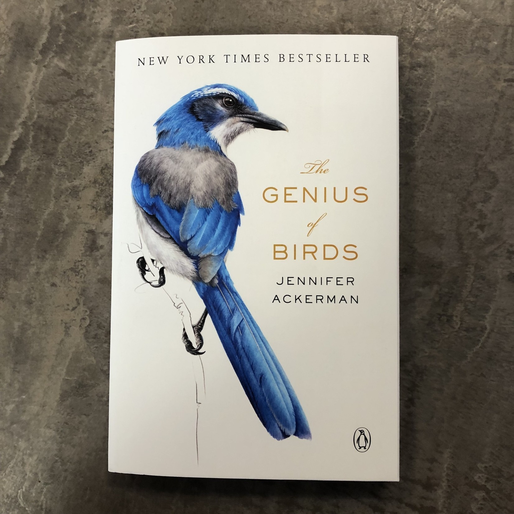 The Genius of Birds Book