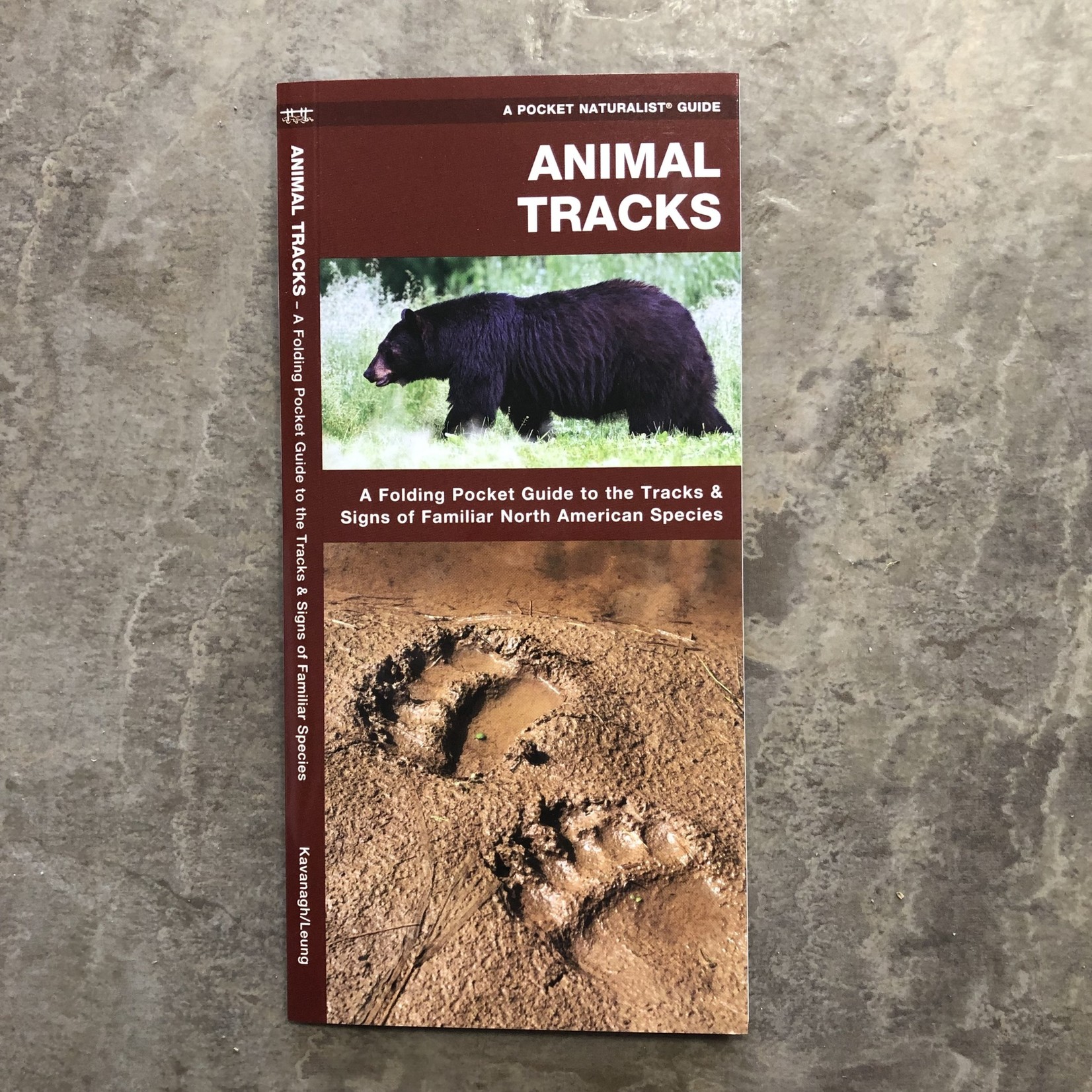 Folding Pocket Guide: Animal Tracks