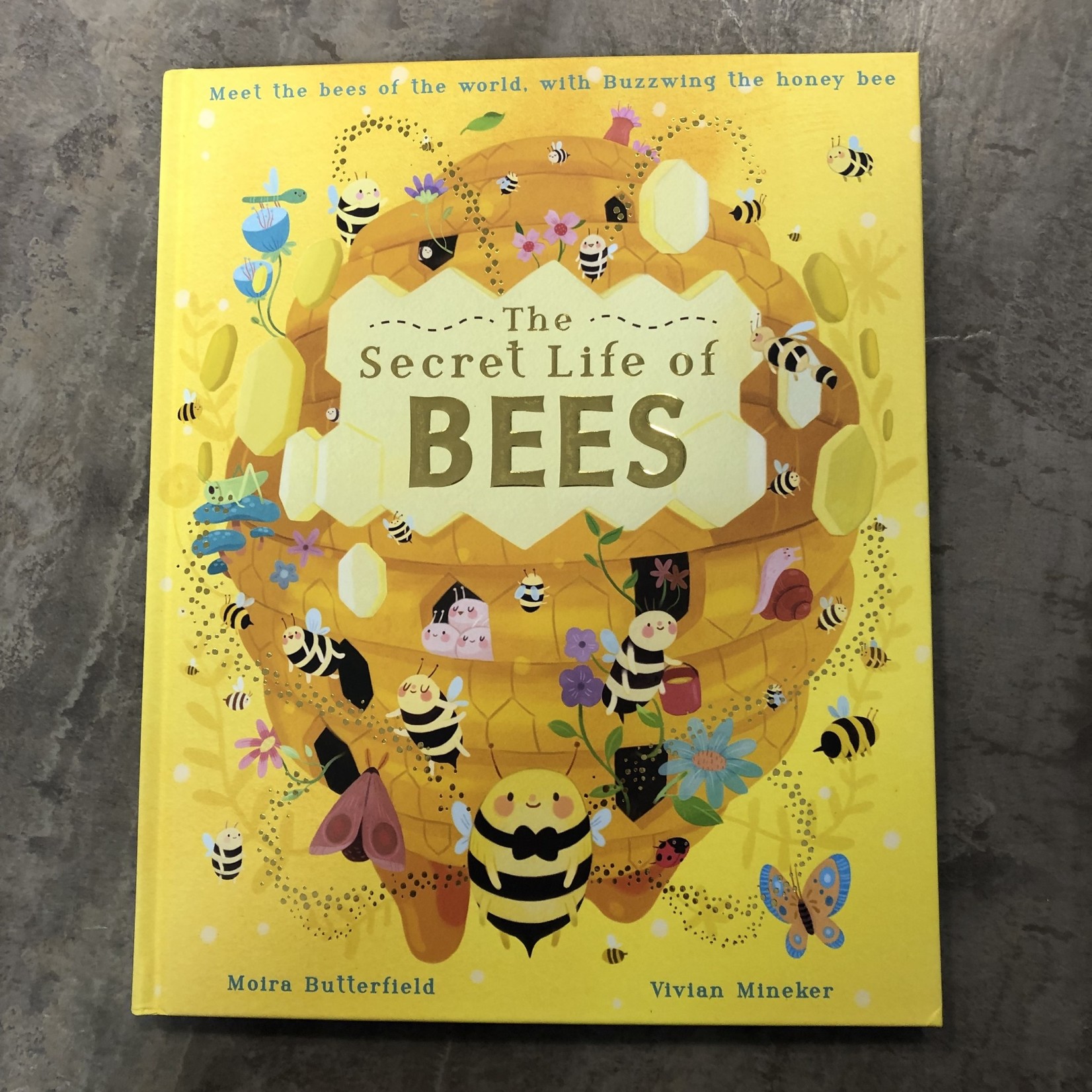 The Secret Life of Bees Book