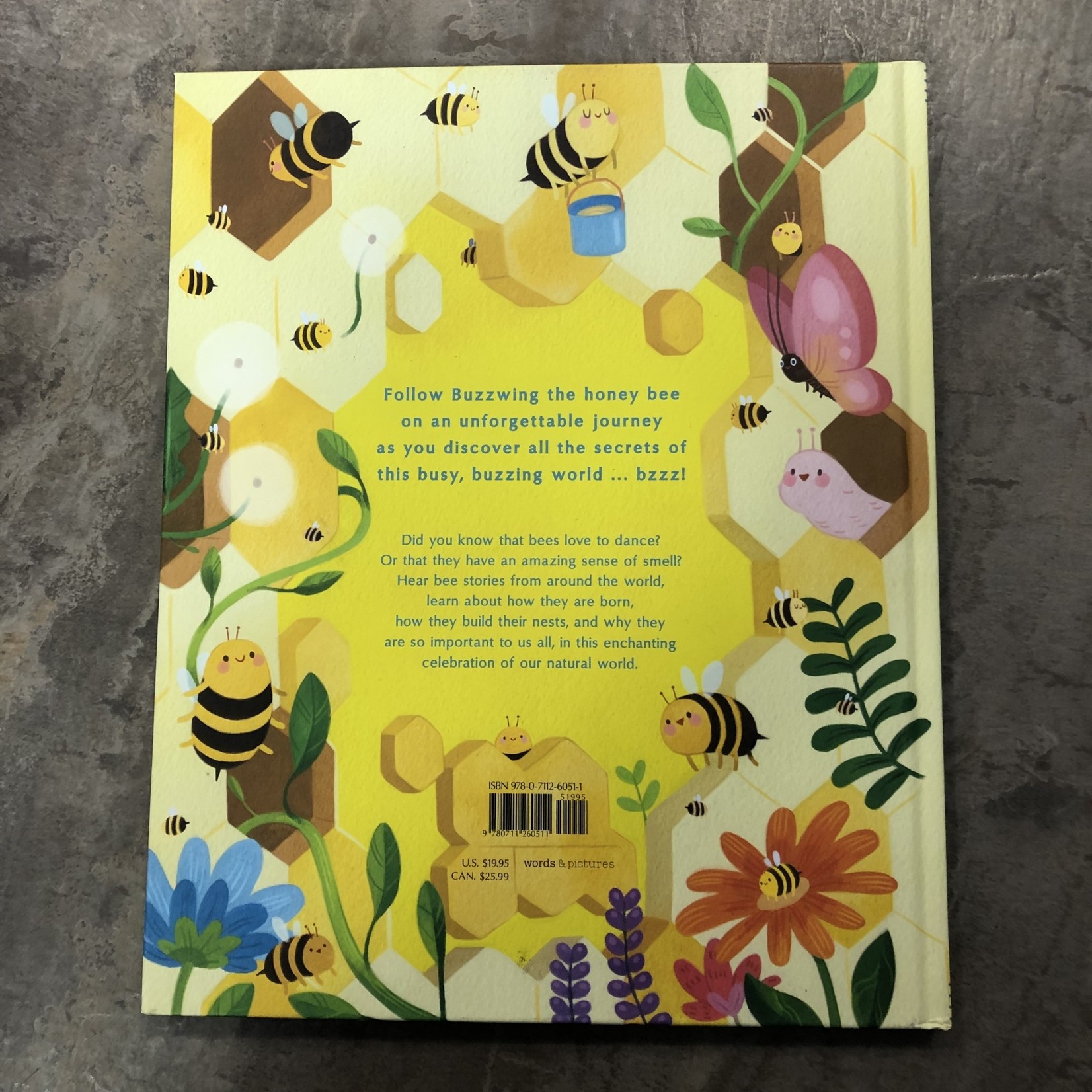 The Secret Life of Bees Book