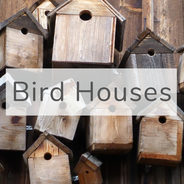 Catalog Backyard Birds Nature Shop