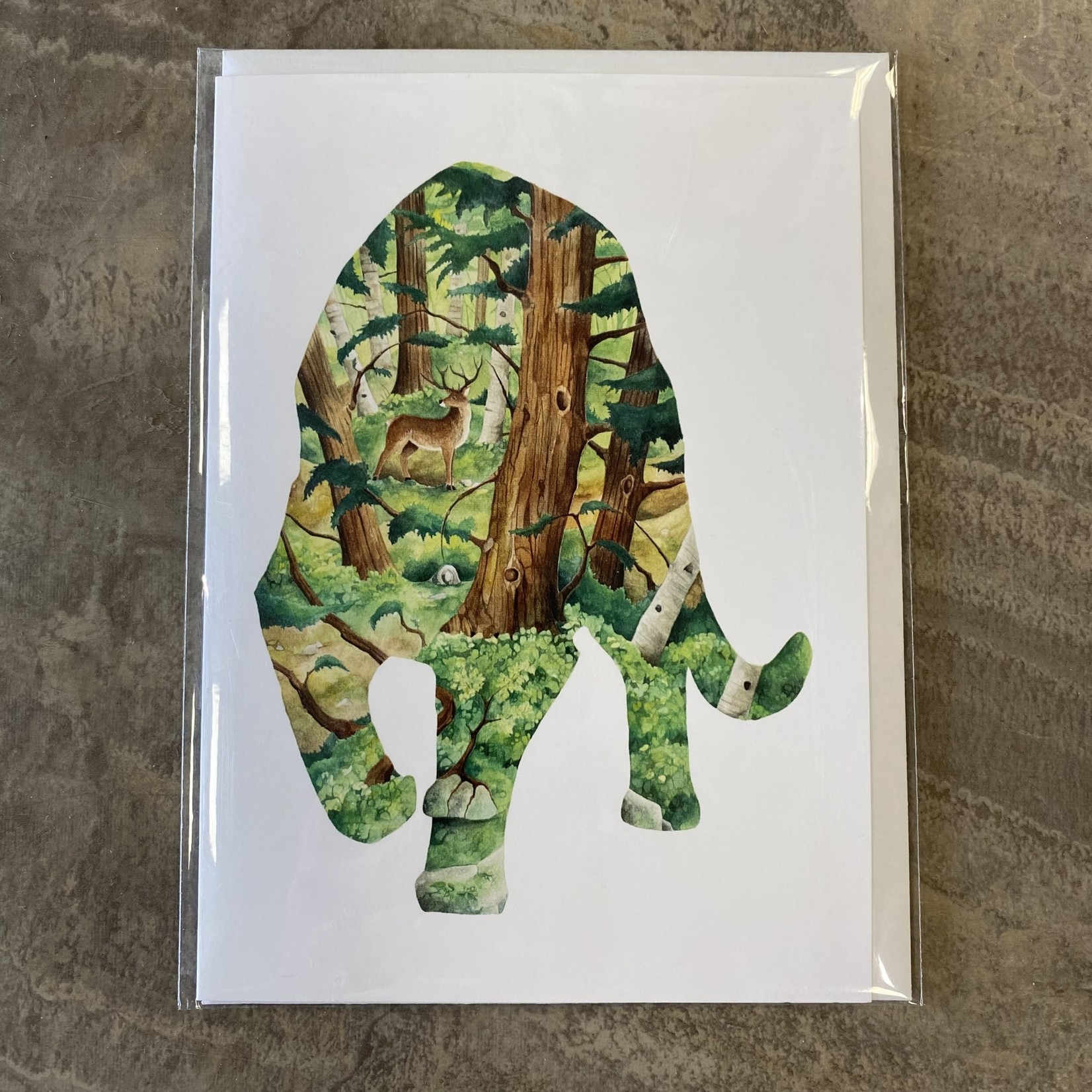 Borders & Boundaries Greeting Card - Puma/Cougar