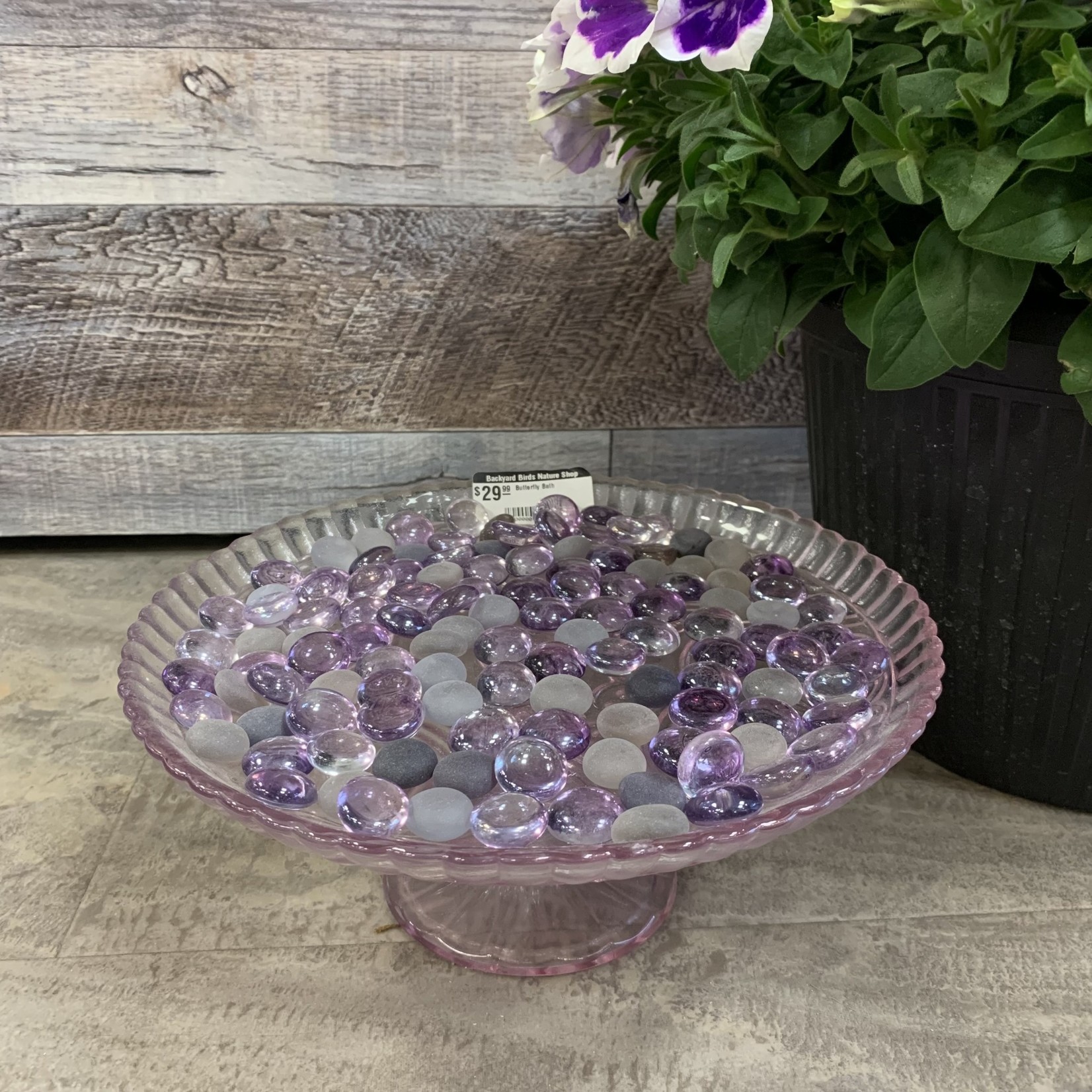 Glass Butterfly Bath - Purple