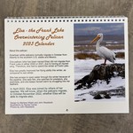 Elsa the Pelican 2023 Calendar