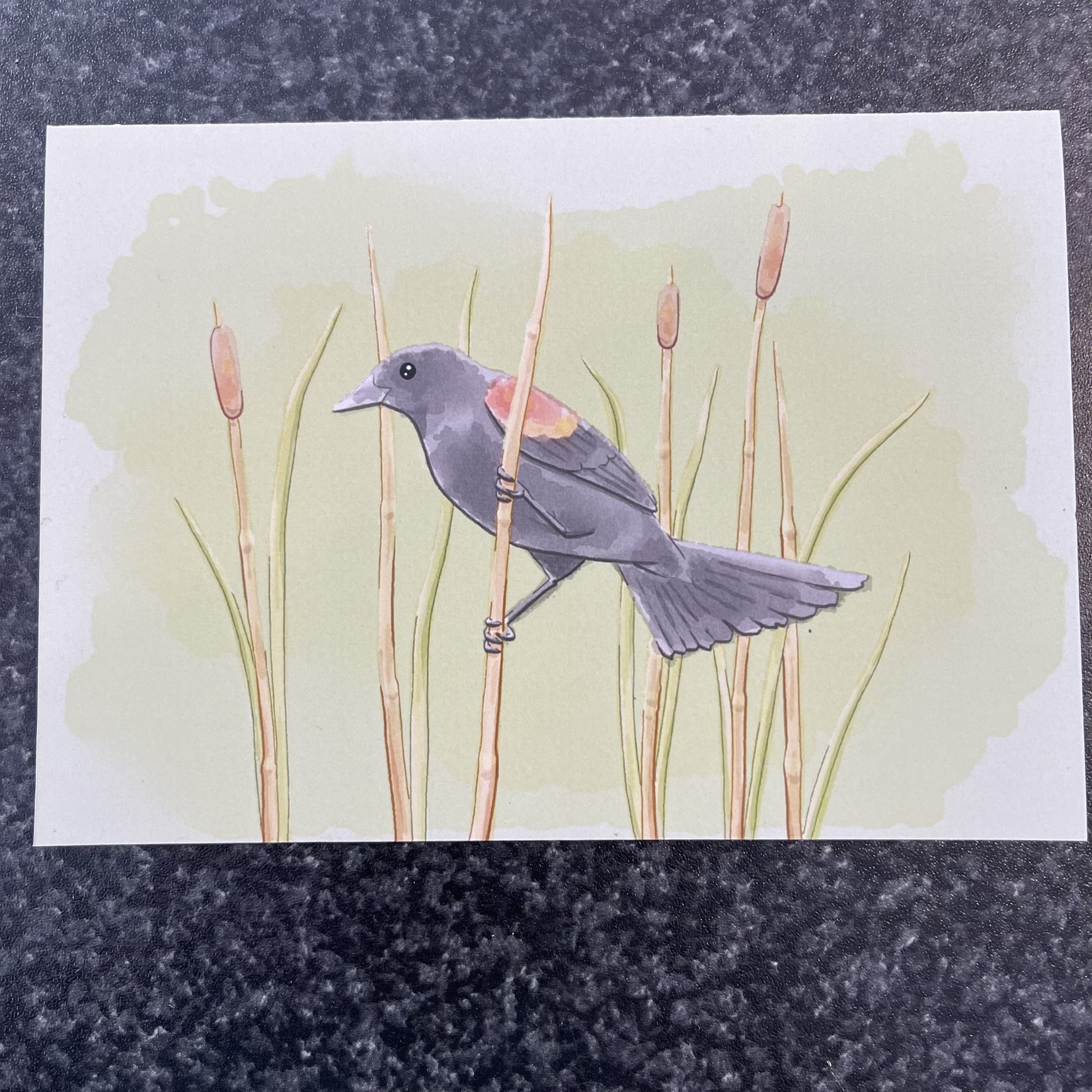 Lauren Kurmey Greeting Card - Red Winged Blackbird