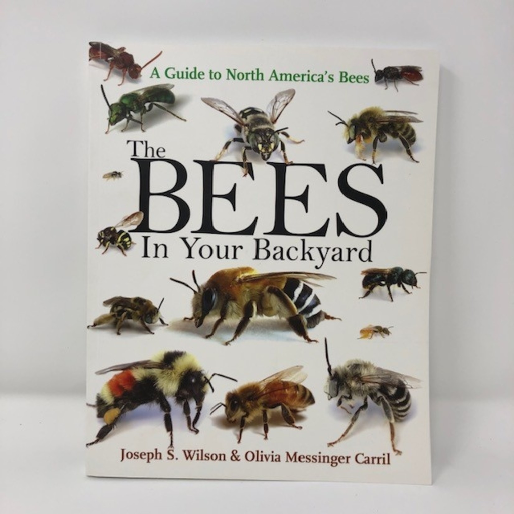 The Bees in Your Backyard Book