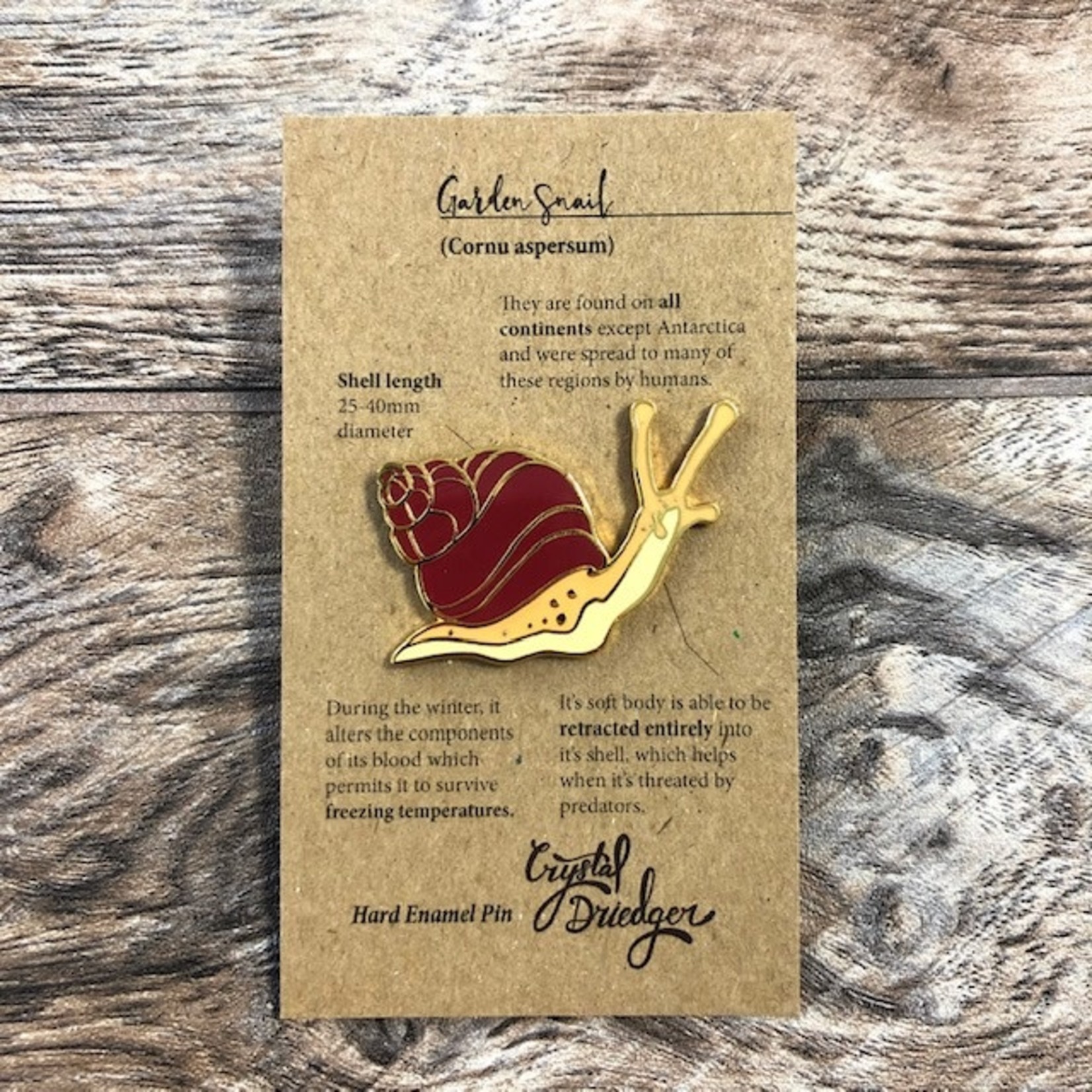 Crystal Driedger Pin - Garden Snail