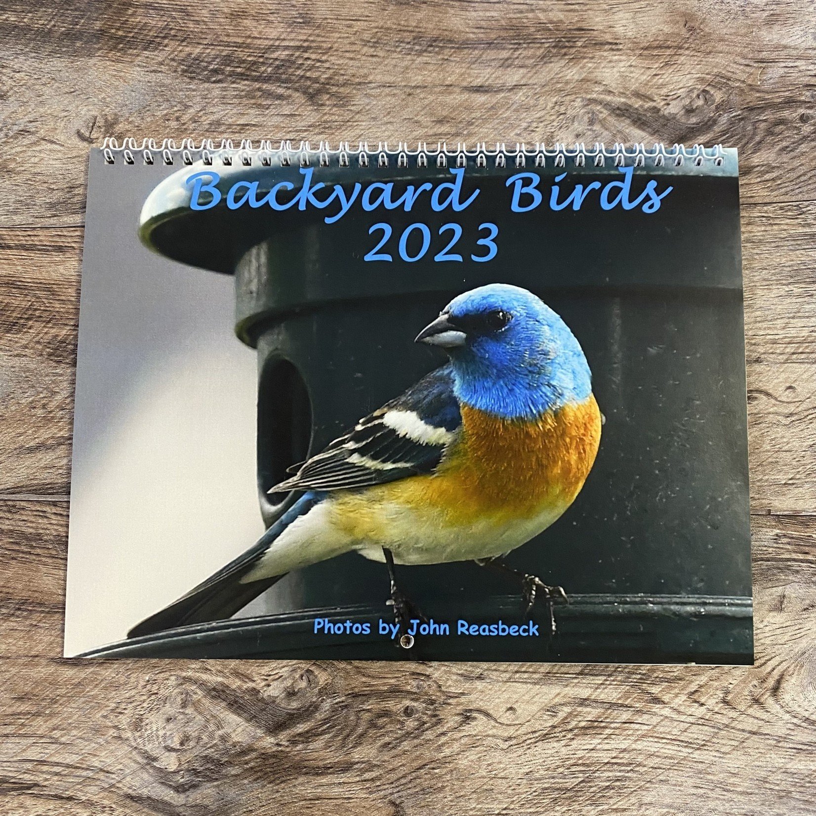 Backyard Birds 2023 Calendar