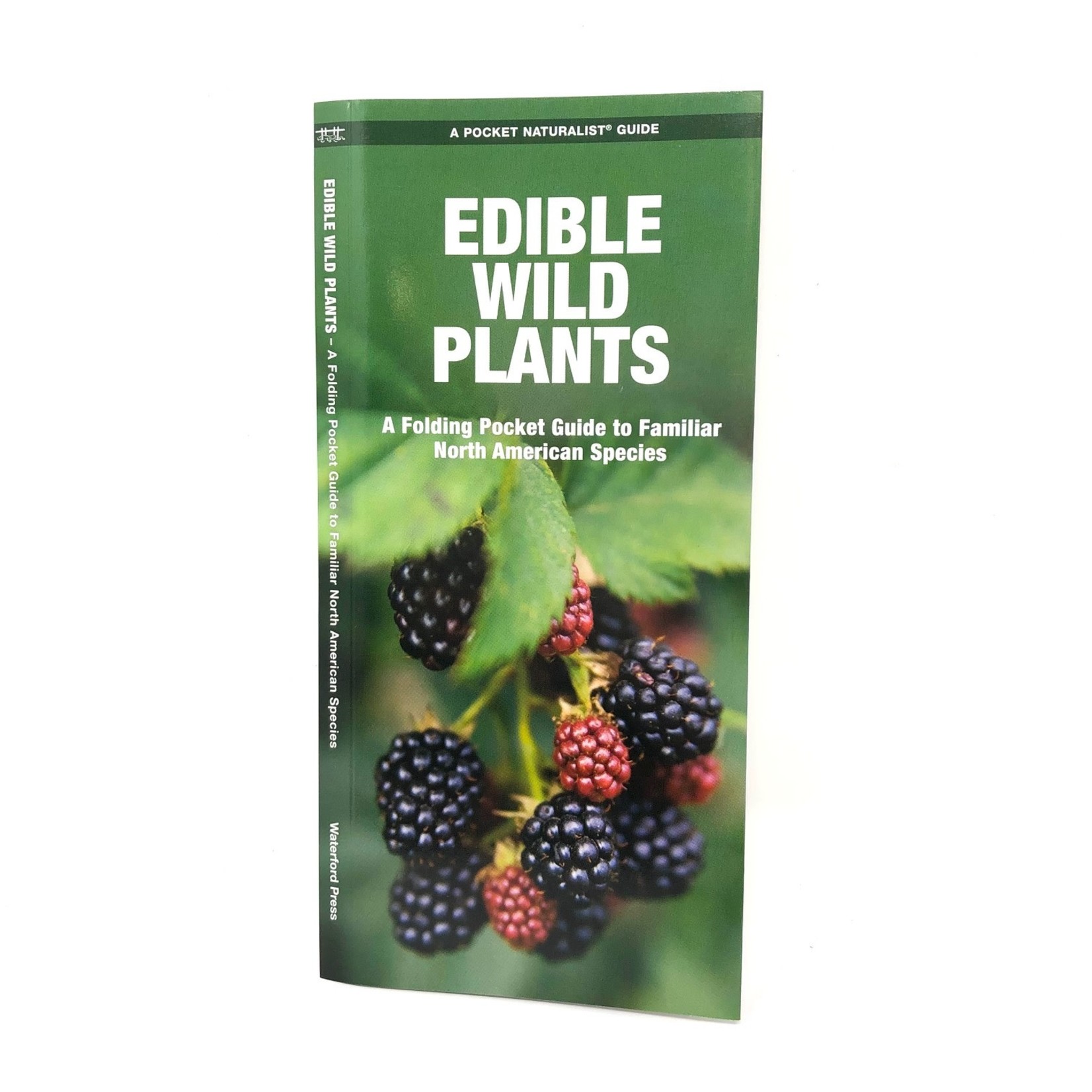 Folding Pocket Guide: Edible Wild Plants