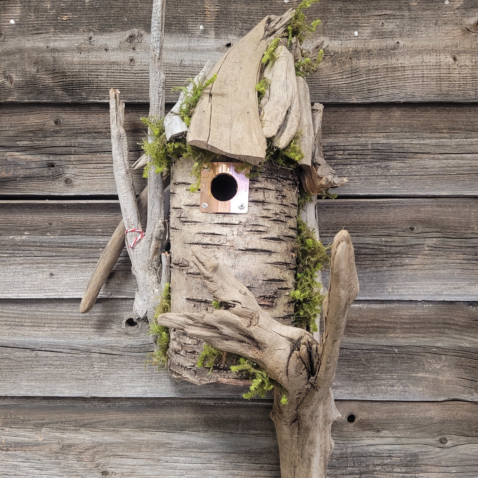 Leslie's Birch Bird Houses - Wall Mount