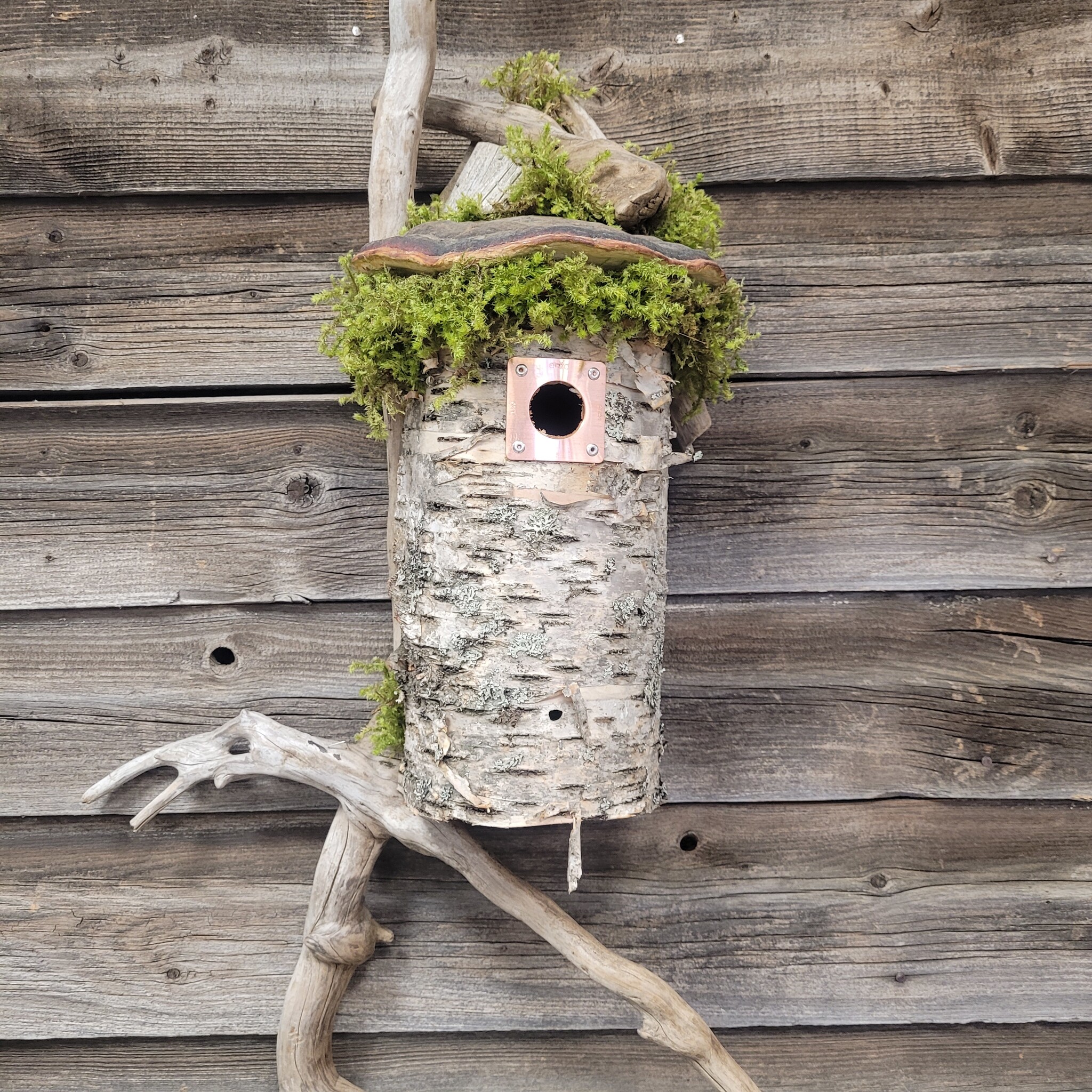 Bird Houses, Hangers & Hooks